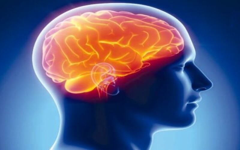 Ученые узнали, как спасти мозг от старения
