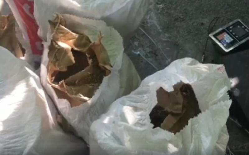 На Одещині виявили 3 тонни макової соломки та 4 тонни макового зерна