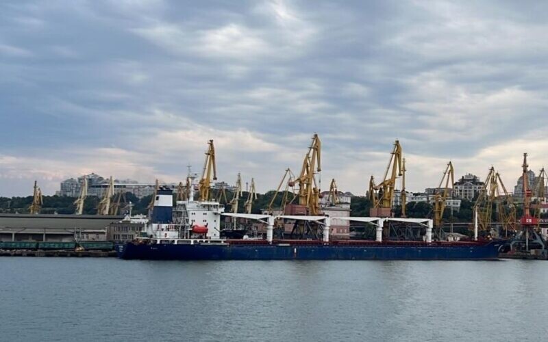 Росія перевірятиме судна у Чорному морі на наявність «чогось поганого»
