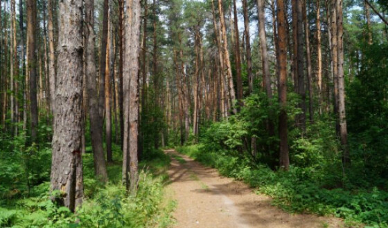 У Польщі роботодавці викинули в ліс тіло українця, який помирав