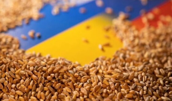 Єврокомісія не продовжила дію ембарго на українське зерно після 15 вересня