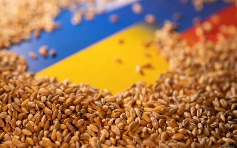 Три країни ЄС не братимуть участі у роботі платформи щодо українського зерна