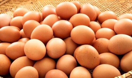 Україна експортуватиме яйця до Гонконгу