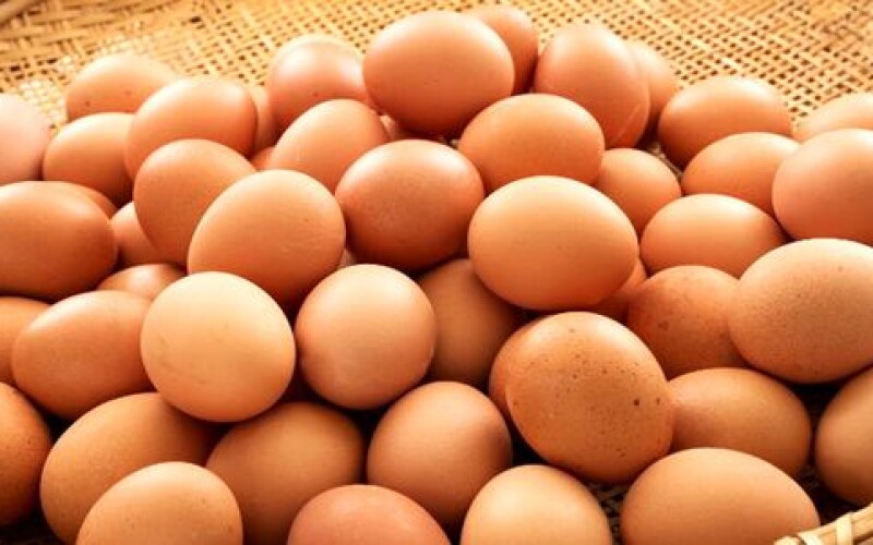 Україна експортуватиме яйця до Гонконгу