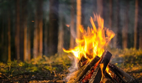 За розведення вогнища в лісі можуть оштрафувати на суму майже п&#8217;ять тисяч гривень