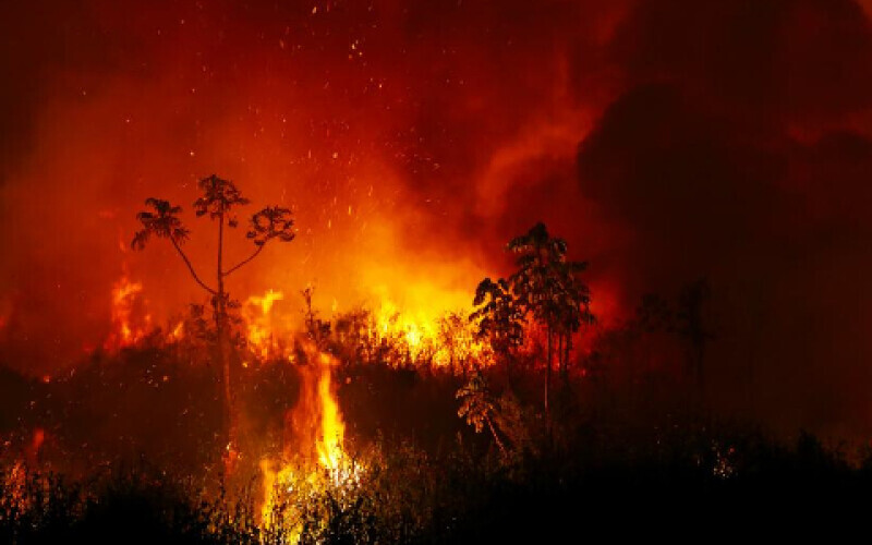 На Гаваях лісові пожежі забрали життя 67 людей