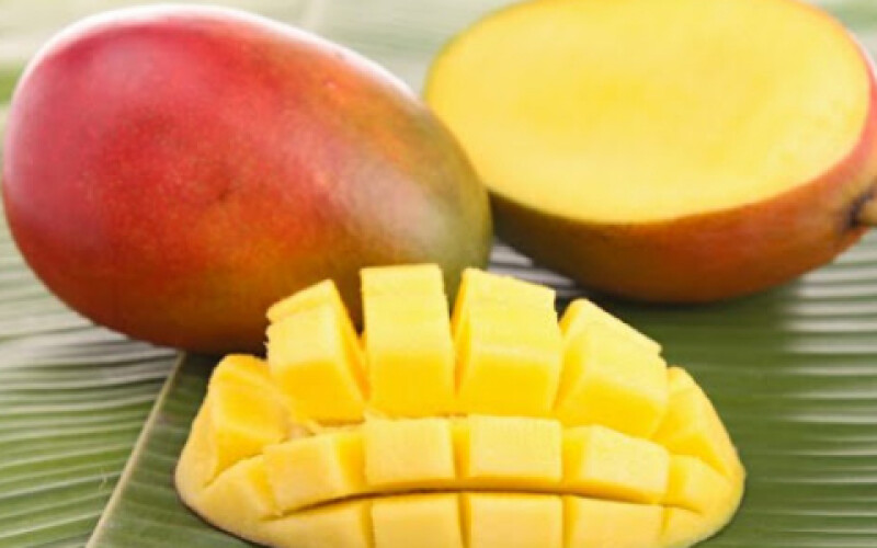 Житель Індії найняв охорону для одного з найдорожчих манго в світі