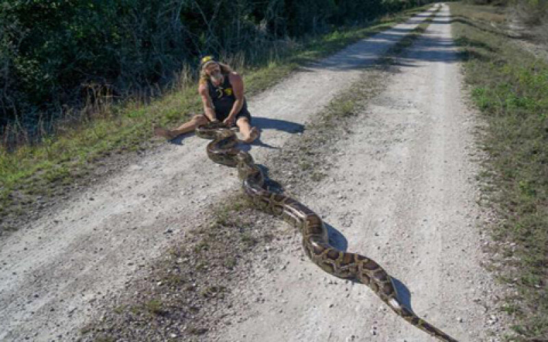 Во Флориде поймали змею невероятных размеров