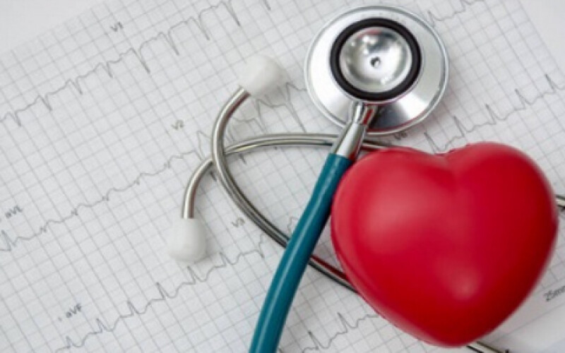Вчені знайшли клітини, здатні відновлювати серце після інфаркту