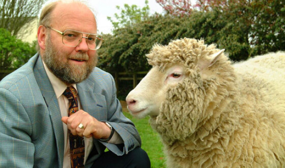 Ученые опровергли смерть овечки Долли от артрита