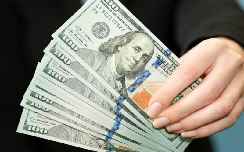 Українці намагалося ввезти до Румунії $1,4 мільйона готівкою, сховавши під одягом