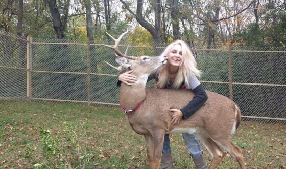 У США жінку вбив олень, про якого вона дбала роками