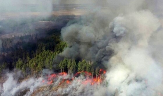 Пожежі в Чорнобильській зоні знищили понад 11 тисяч гектарів лісу