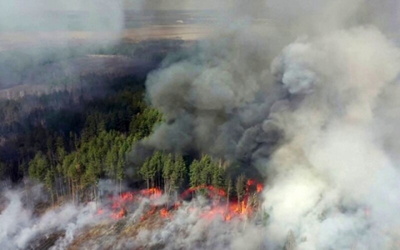 Пожежі в Чорнобильській зоні знищили понад 11 тисяч гектарів лісу