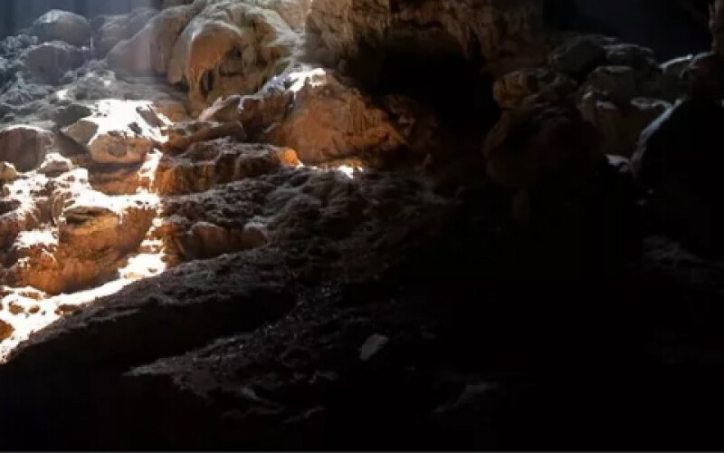 В пещере Мьянмы нашли древнейших тараканов