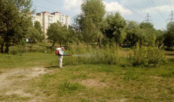 Киевские парки обрабатывают от клещей