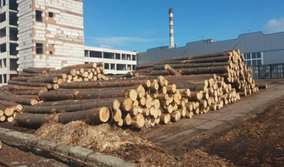 Стало відомо, скільки українських шкіл палять дровами