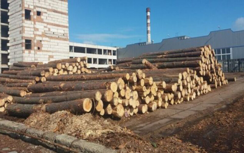 В Украине топливо из соломы вытеснит древесное