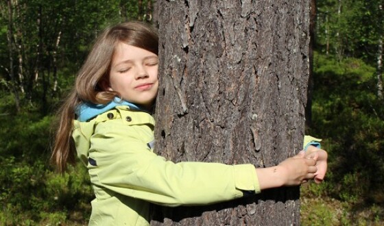 В Финляндии проведут первый чемпионат мира по обниманию деревьев