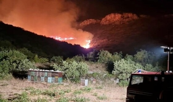 Хорватію охопили масштабні лісові пожежі: вогнем знищено 550 гектарів лісу