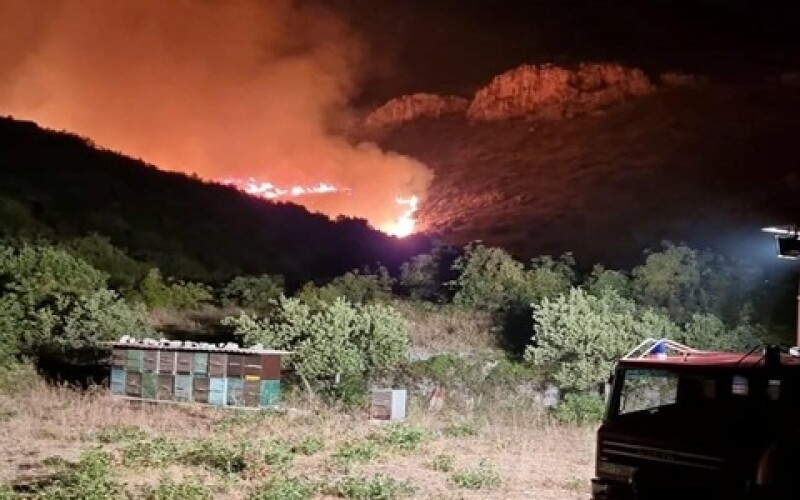 Хорватію охопили масштабні лісові пожежі: вогнем знищено 550 гектарів лісу