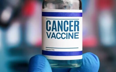 Вакцина проти раку нового покоління показала вражаючі результати на мишах