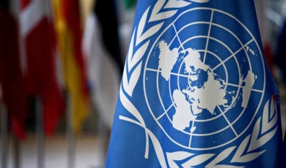 В українському парламенті запропонували реформувати Радбез ООН