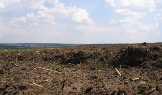 В Україні половина сільгоспземель перебуває в стані посухи