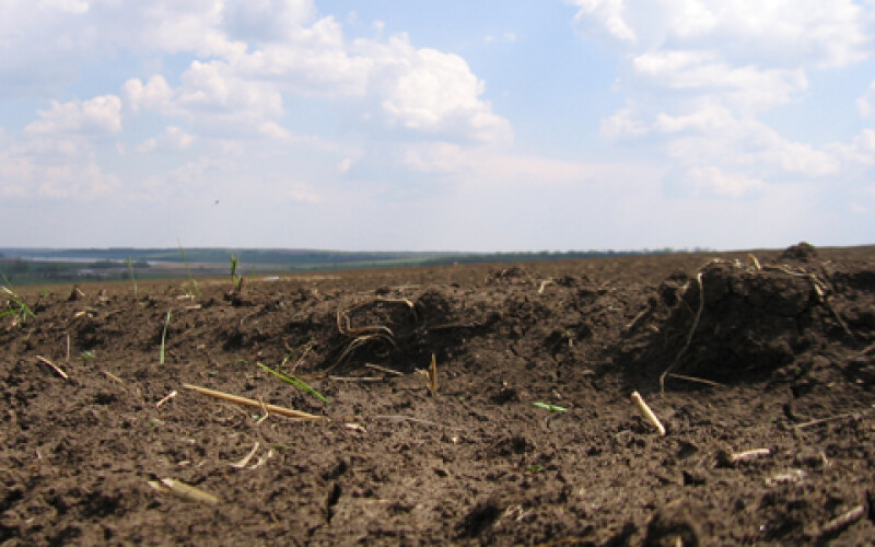 До кінця року в Україні планують інвентаризувати 200 тис га землі