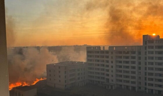 Під Києвом масштабна пожежа: зайнявся трав&#8217;яний настил