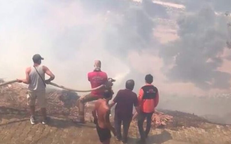 У Туреччині внаслідок лісових пожеж вигорів вщент населений пункт