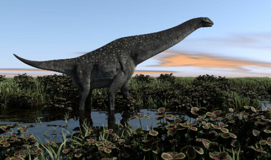 В Аргентині знайшли останки найдавнішого титанозавра в світі