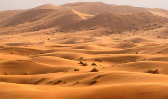 Ученые: Пески Сахары переходят в новые регионы