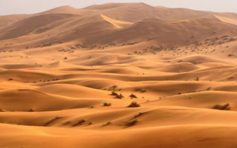Ученые: Пески Сахары переходят в новые регионы