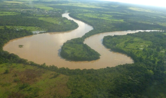 Амазонские леса не успевают адаптироваться к изменениям климата