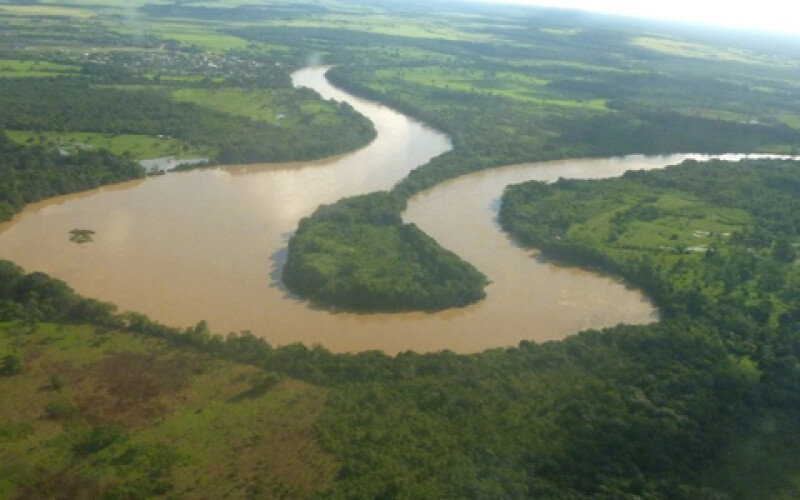 Тропічні ліси Бразилії наближаються до точки неповернення