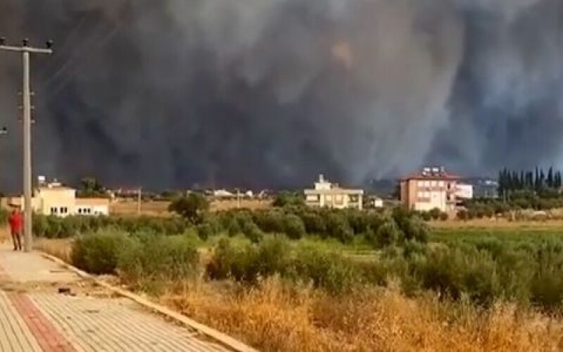У результаті великої лісової пожежі у передмісті Антальї постраждали щонайменше 53 людини