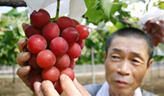 На аукціоні гроно винограду продали за 11 тисяч доларів