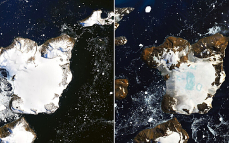 На антарктичному острові Ігл зафіксували катастрофічне танення льодовиків