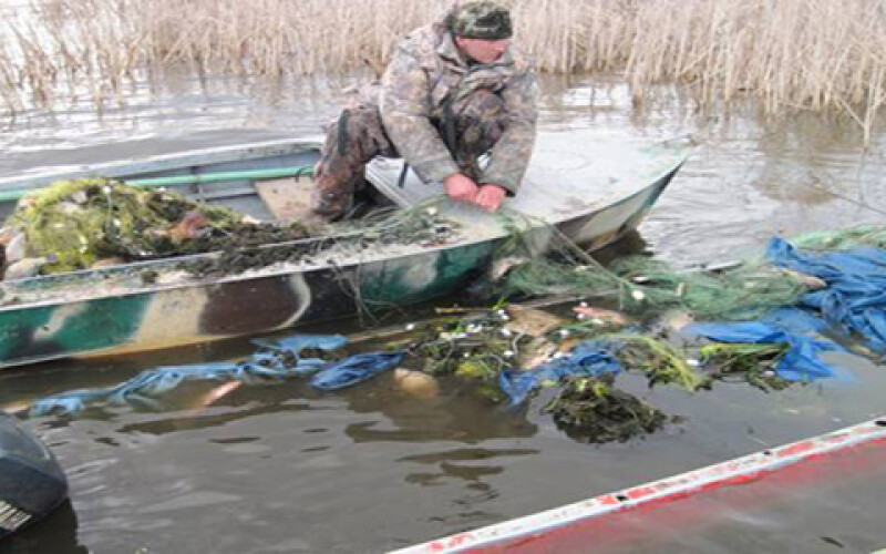 В Чернобыльской зоне браконьеры массово вылавливают рыбу