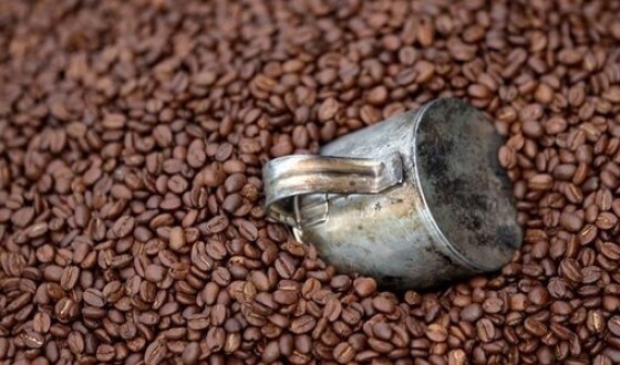 Кофе спасает от слабоумия – ученые