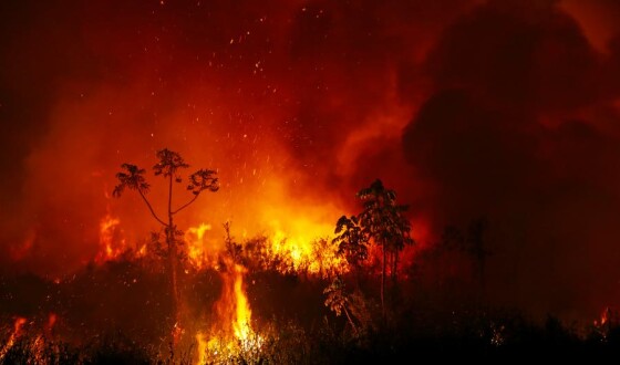 Потужна лісова пожежа триває у Греції