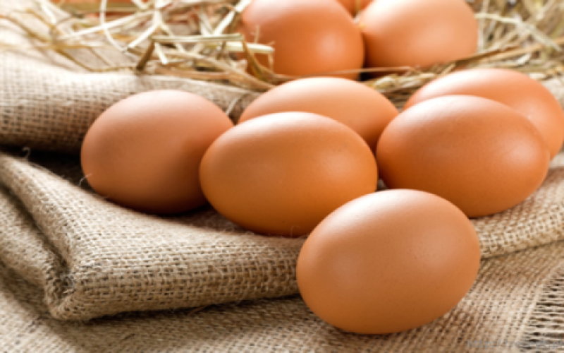 Сырые яйца могут помочь с проблемами глаз