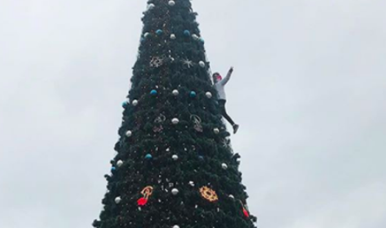 В Мелитополе парень залез на елку ради фото