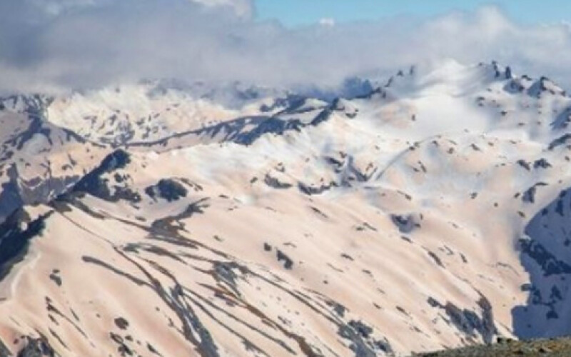Новозеландские ледники неожиданно стали «красными»
