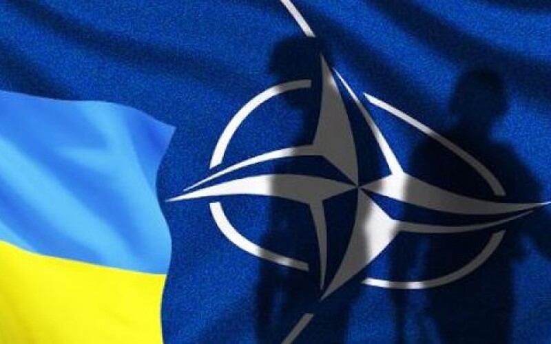 Большинство украинцев поддерживают вступление Украины в НАТО
