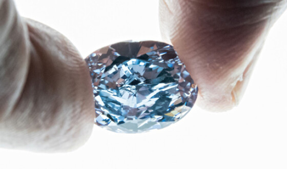 Найден украденный в ОАЭ голубой алмаз стоимостью $20 млн