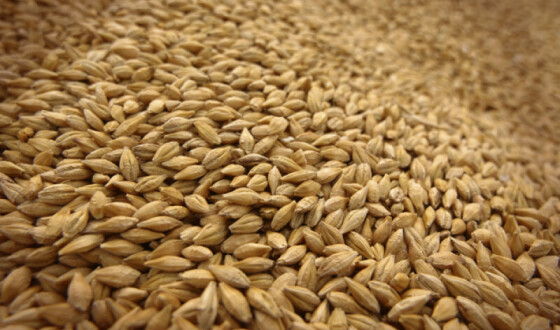 Україна намагається розблокувати експорт свого зерна суходолом