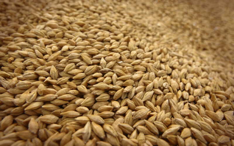 Україна намагається розблокувати експорт свого зерна суходолом