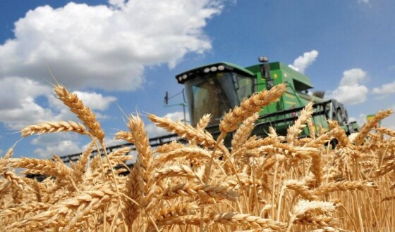 Угорщина планує продовжити заборону на імпорт українського зерна після 15 вересня